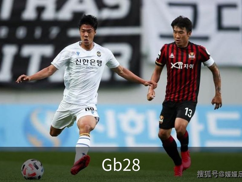 了解Gb28